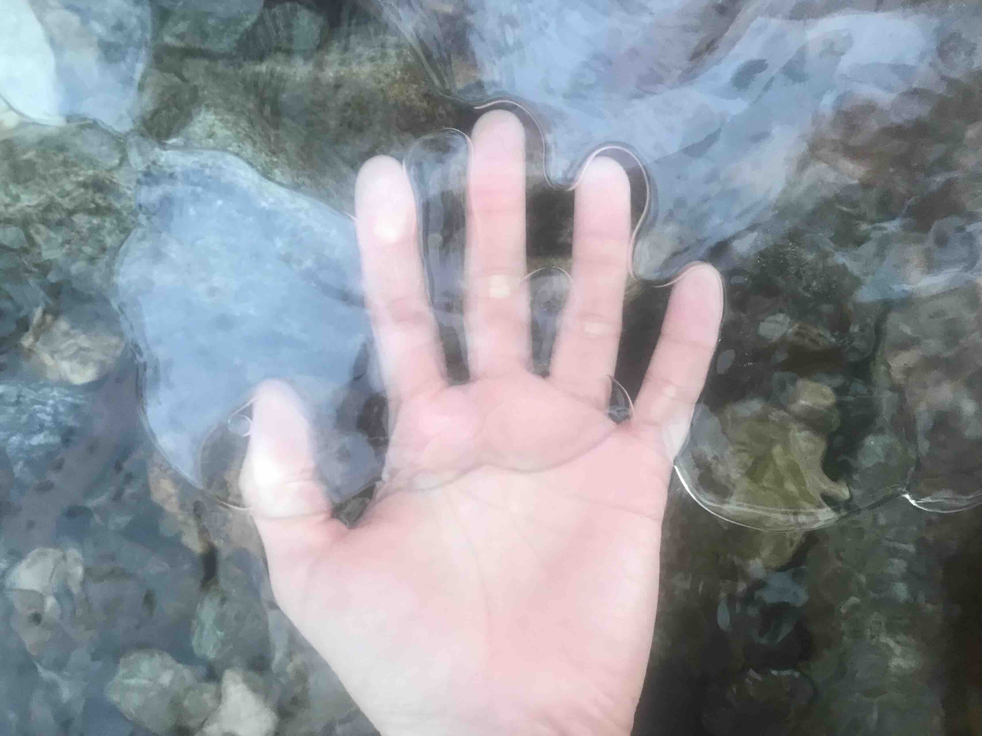 두타산 계곡에서...