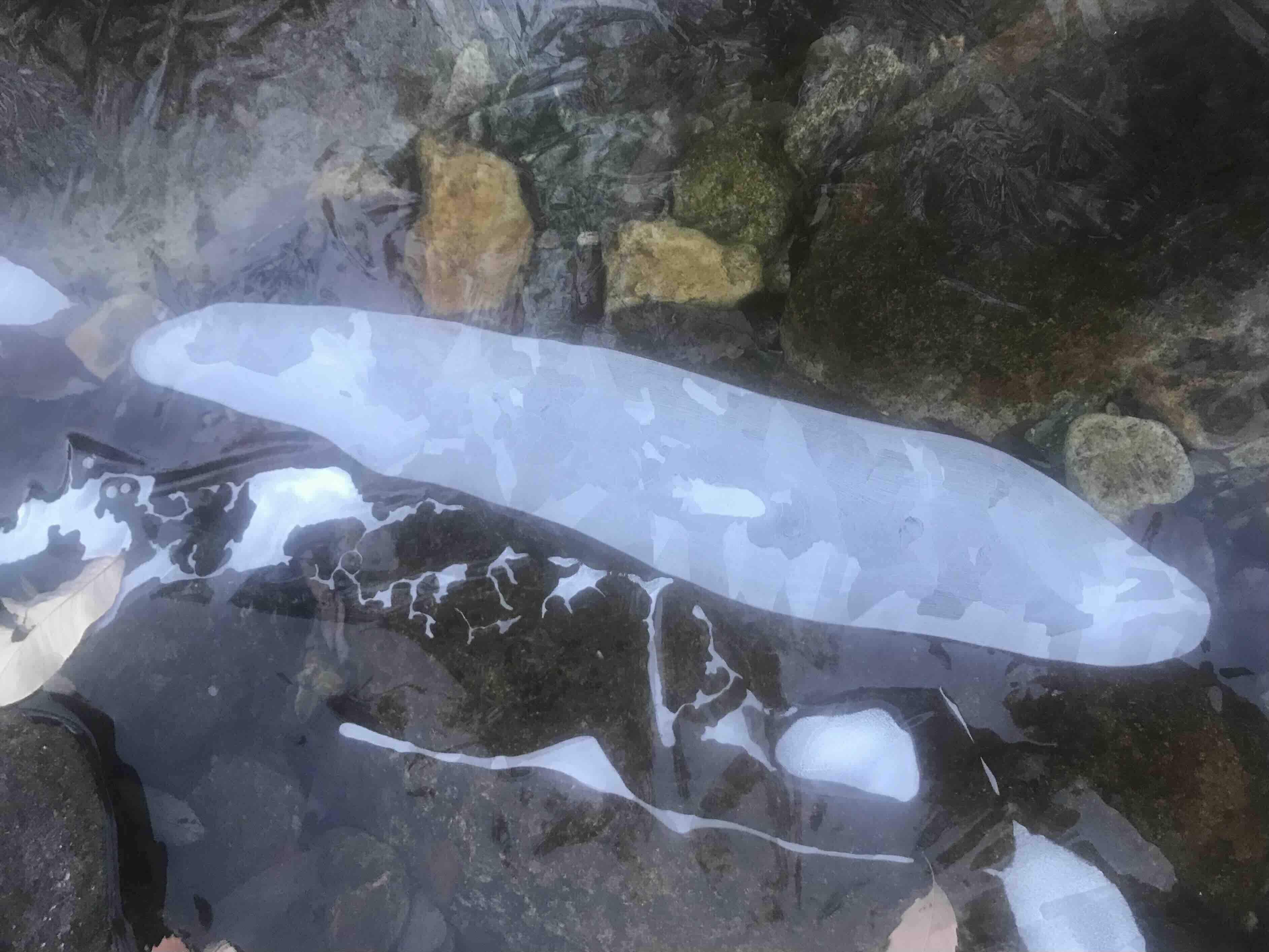 두타산 계곡에서...