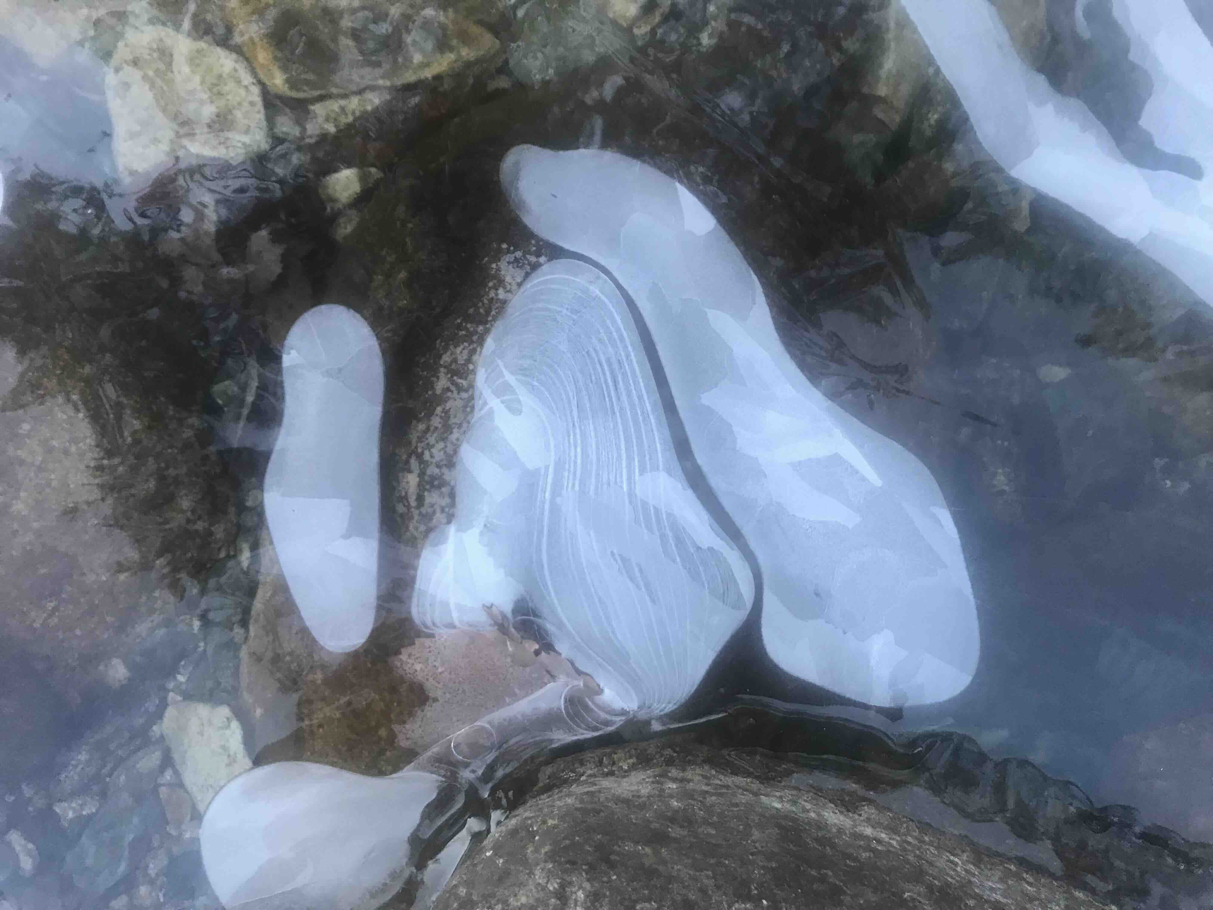 두타산 계곡에서...