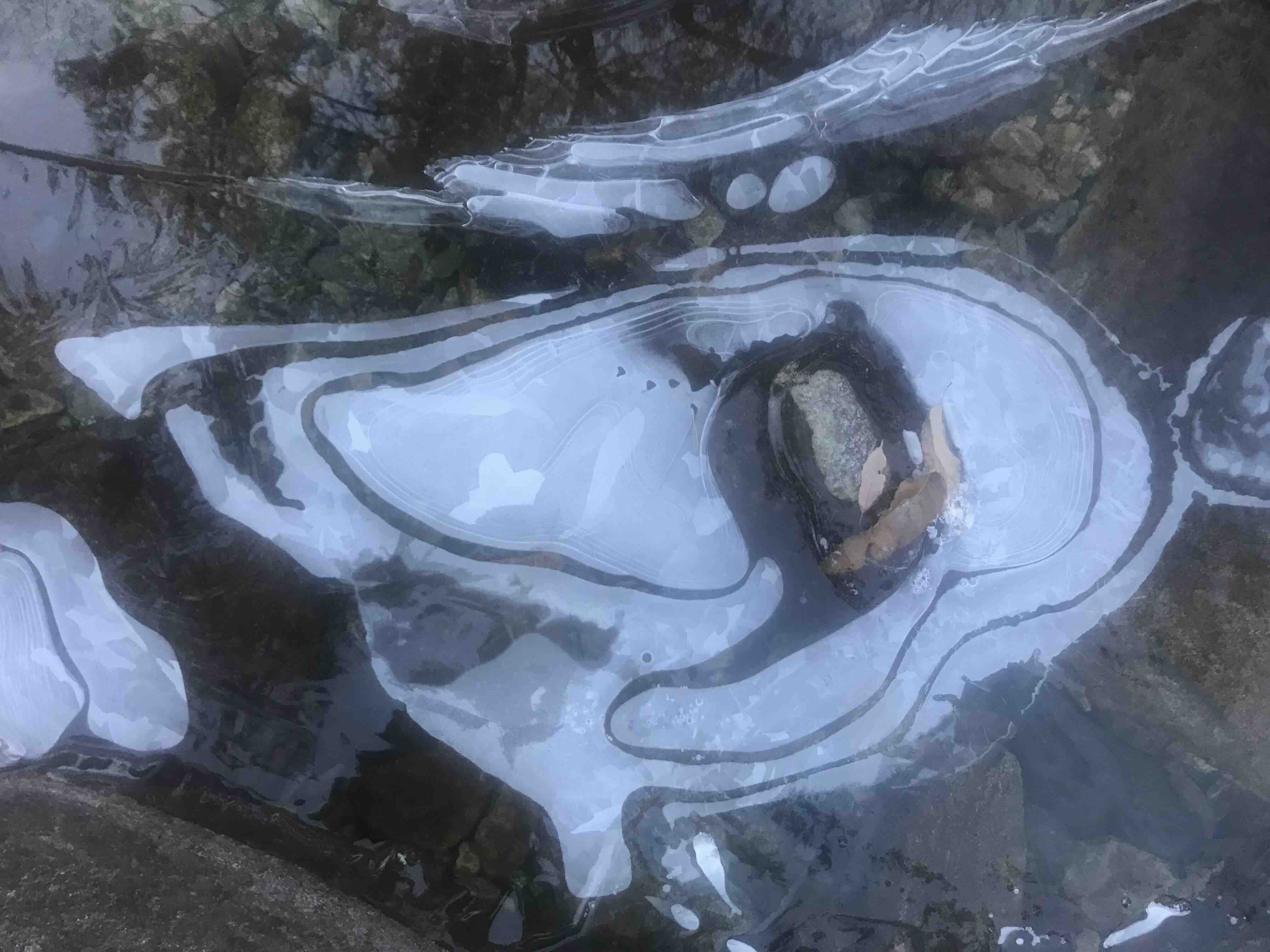 두타산 계곡에서...