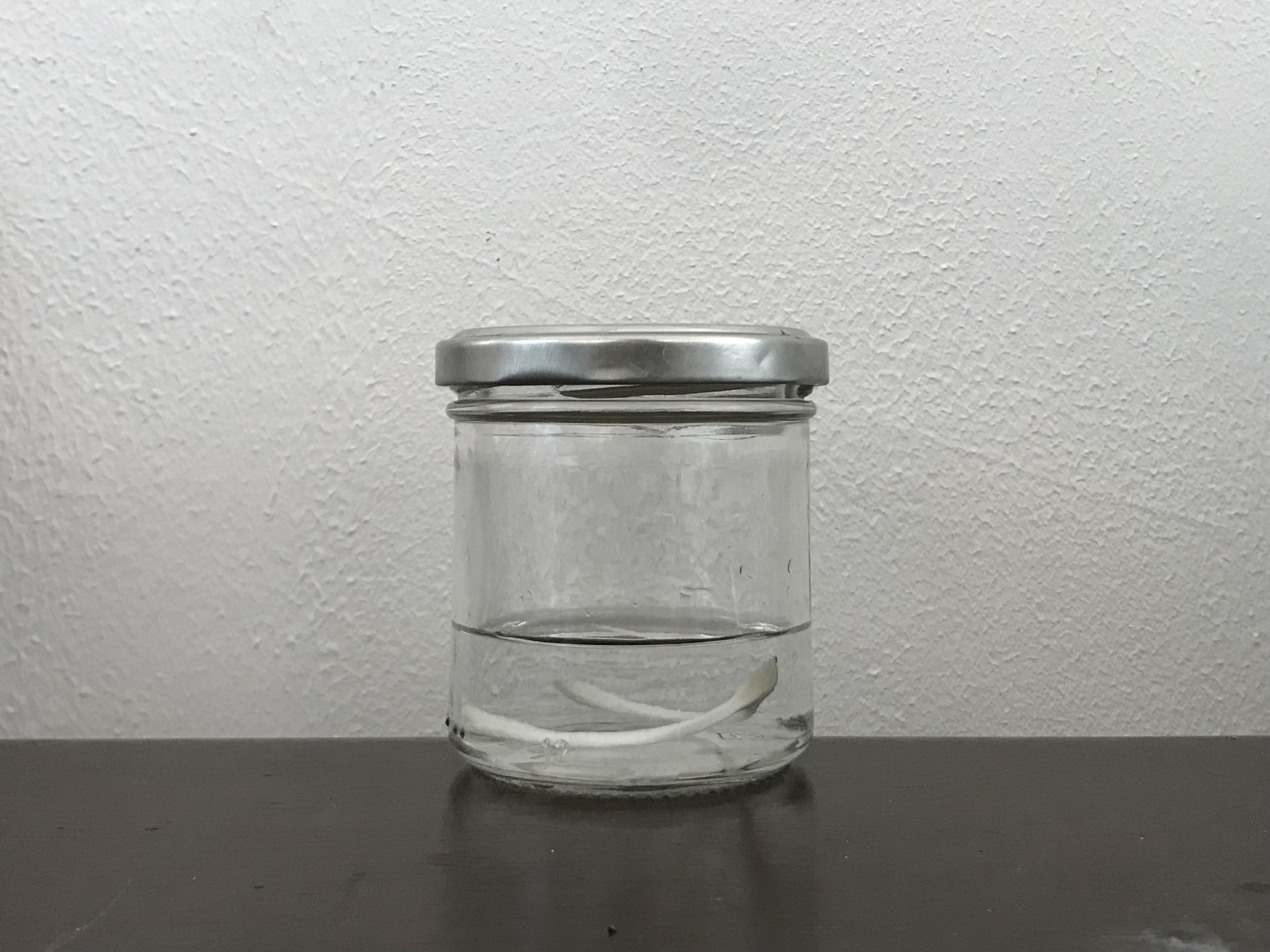 wishbone soaking in hydrogen peroxide